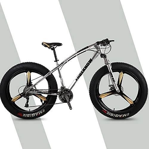Fat Tyre Bike : ITOSUI 20 / 24 / 26 * 4.0 Inch Thick Wheel Mountain Bikes, Adult Fat Tire Mountain Trail Bike, 7 / 21 / 24 / 27 / 30 Speed Bicycle, High-carbon Steel Frame, Mens Youth / Adult Fat Tire Mountain Bike