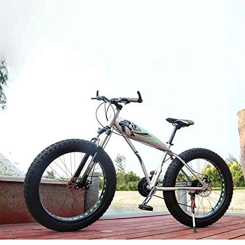 Fat Tyre Bike : JASSXIN Sports Cycling Bicycle Speed Off-Road Beach Mountain Bike Adults Tires Super Wide Men And Women Cycling Students 26 Inch, C, 24 speed
