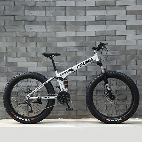 Fat Tyre Bike : JYTFZD WENHAO Mountain Bikes, 24Inch Fat Tire Hardtail Men's Snowmobile, Dual Suspension Frame and Suspension Fork All Terrain Mountain Bicycle Adult (Color : G)