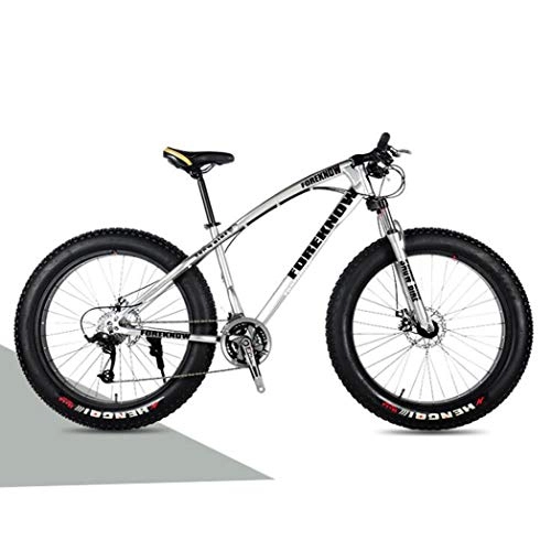 Fat Tyre Bike : Langlin 24" Mountain Bike Bicycle Comfort Fat Tire Bikes Beach Snow All Terrain Bike Variable Speed Bicycle High Carbon Steel Frame Double Disc Brake, silver, 24 inch 7 speed