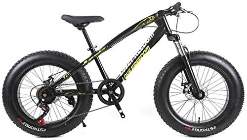Fat Tyre Bike : LBWT Student Outdoor Mountain Bike, 26 Inch Fat Tire Road Bicycle, High Carbon Steel, 7 / 21 / 24 / 27 Speeds, With Disc Brakes And Suspension Fork, Gifts (Color : Black, Size : 24 Speed)
