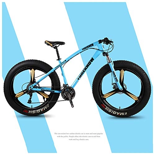 Fat Tyre Bike : LDLL Mountain Bike 26 Inch Outroad Bicycles, Disc Brakes High Carbon Steel frame Fat Tire Variable Speed Bike, Shock Absorption MTB Bicycle