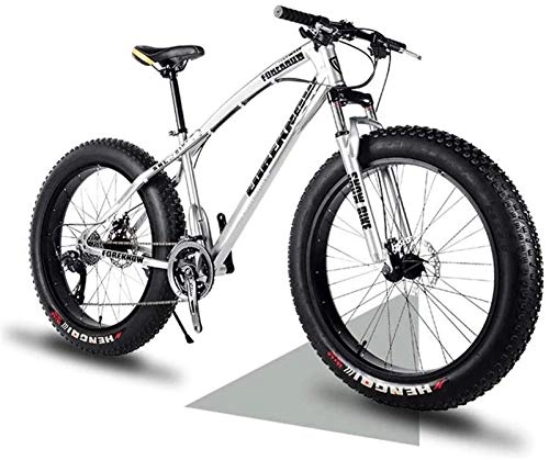 Fat Tyre Bike : Leifeng Tower Lightweight， Fat Tire Mountain Bike Mens, Beach Bike, Double Disc Brake 20 Inch Cruiser Bikes, 4.0 wide Wheels, Adult Snow Bicycle Inventory clearance (Color : Silver, Size : 7speed)