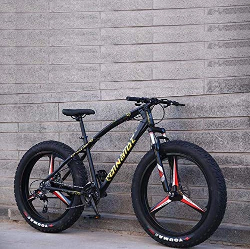 Fat Tyre Bike : LFEWOZ Fat Tire Beach Snowmobile Bicycle Mountain Bike Bicycle for Adult, Road Riding MTB Bikes Cruiser Bikes for Adult Men 24 Inch Wheel