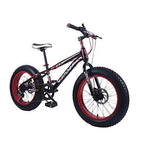Fat Tyre Bike : LHQ-HQ Outdoor sports Fat bike, 20 inch 7 speed variable speed snow beach offroad bicycle men's outdoor riding Outdoor sports Mountain Bike (Color : B)