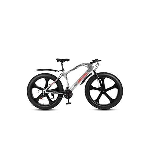 Fat Tyre Bike : LIANAIzxc Bikes 26 Inch Fat Tire Beach Snowmobile Adult Mountain Bike Road Bicycle Men Women Ride 27Speed Variable Speed Sports Cycling (Color : Silver, Size : 21 Speed_26 INCH (160-185CM))