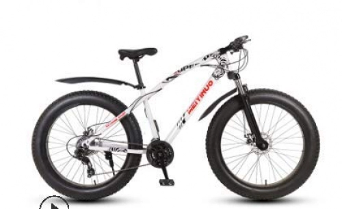 Fat Tyre Bike : LIANG ATV 26-Inch Double Disc Brake Wide Tire Variable Speed Adult Mountain Bike Fat Bike, 2, 21