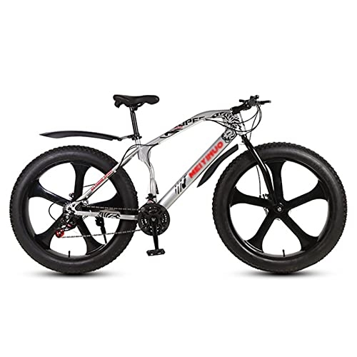 Fat Tyre Bike : LiRuiPengBJ Children's bicycle Speed Shifting Road Bike ​​Adults, Dual Disc Brake Road Bicycle 26 Inch Mountain Bike City Bicycle for Men and Women (Color : Style3, Size : 26inch21 speed)