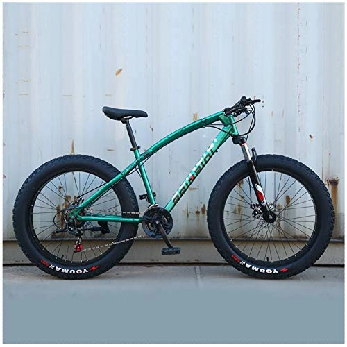 Fat Tyre Bike : LJJ 26 Inch Hardtail Mountain Bike, Fat Tire Mountain Bikes with Adjustable Seat, Double Disc Brake High-carbon Steel Bicycle, 7 / 21 / 24 / 27 / 30 Speed