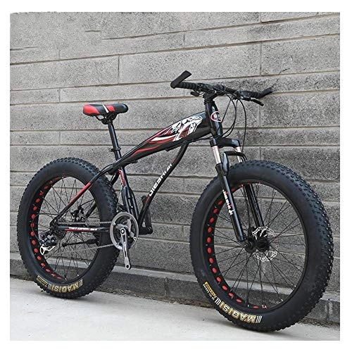 Fat Tyre Bike : LNDDP Adult Mountain Bikes, Boys Girls Fat Tire Mountain Trail Bike, Dual Disc Brake Hardtail Mountain Bike, High-carbon Steel Frame