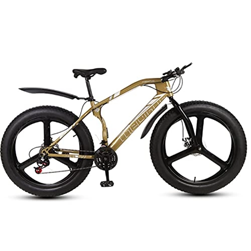 Fat Tyre Bike : LXMTing 26 Inch Thick Wheel Mountain Bikes, Adult Boys Girls Fat Tire Mountain Trail Bike, ​Dual Disc Brake Bicycle, Full Suspension MTB with Dual Disc Brakes, C, 24 speed