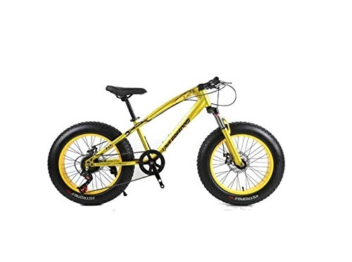 Fat Tyre Bike : MOLVUS Mountain Bike Unisex Hardtail Mountain Bike 7 / 21 / 24 / 27 Speeds 26 inch Fat Tire Road Bicycle Snow Bike / Beach Bike with Disc Brakes and Suspension Fork, Gold, 21 Speed