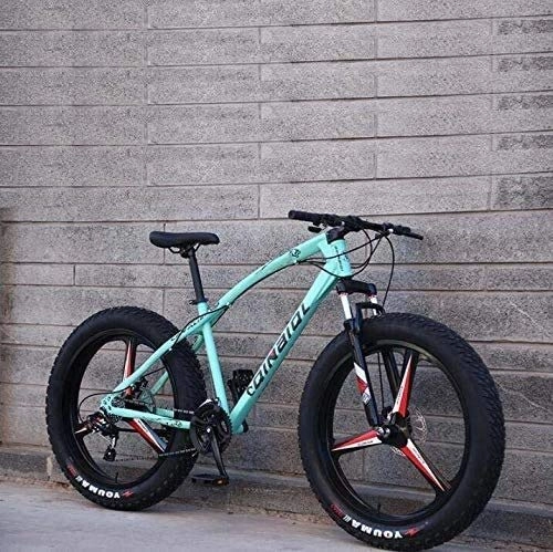 Fat Tyre Bike : Mountain Bike Bicycle for Adults, High Carbon Steel Frame, Dual Disc Brake And Front Full Suspension Fork (Color : Green, Size : 26 inch 7 speed)