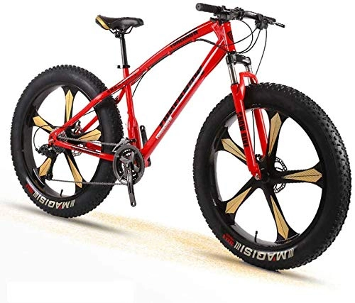 Fat Tyre Bike : Movement 26 inch Mountain Bikes, Adult Boys Girls Fat Tire Mountain Trail Bike, Dual Disc Brake Bicycle, High-Carbon Steel Frame, Anti-Slip Bikes, Black, 27 Speed Suitable for Men and Women, Cycling an