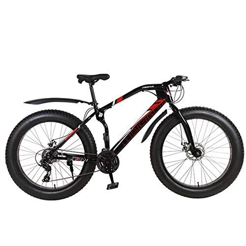 Fat Tyre Bike : N-B Mountain Bike, Snow Bike, Double Disc Brake Bike, 26 * 4.0 Fat Tire Mountain Bike, Outdoor, Sports.