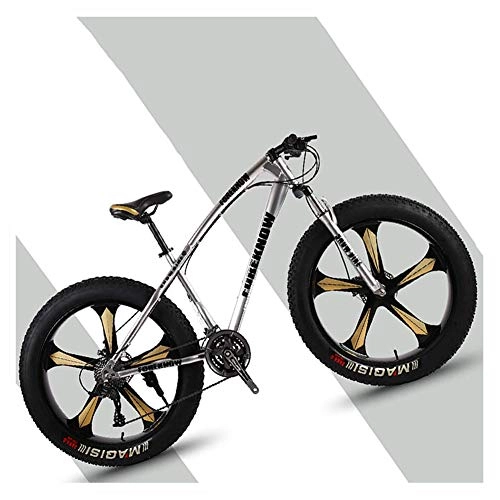 Fat Tyre Bike : NENGGE 26 Inch Hardtail Mountain Bikes with Fat Tire for Adults Men Women, Mountain Trail Bike with Front Suspension Disc Brakes, High-Carbon Steel Mountain Bicycle, Silver 5 Spoke, 24 Speed