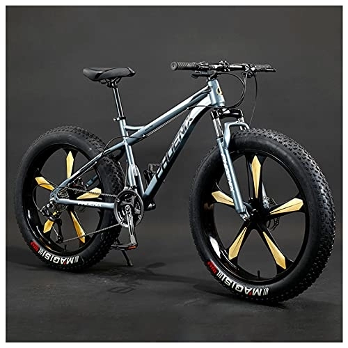 Fat Tyre Bike : NENGGE Adult Mountain Bike, 26-Inch Wheels, Mens, Womens Steel Frame, Fat Tire Mountain Bikes Hardtail Mountain Bicycle, Mechanical Disc Brakes, Gray 5 Spoke, 7 Speed