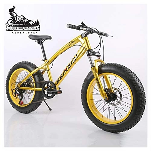 Fat Tyre Bike : NENGGE Hardtail Mountain Bike 20 Inch for Women, Fat Tire Girls Mountain Bicycle with Front Suspension & Mechanical Disc Brakes, High Carbon Steel Frame & Adjustable Seat, Gold, 24 Speed