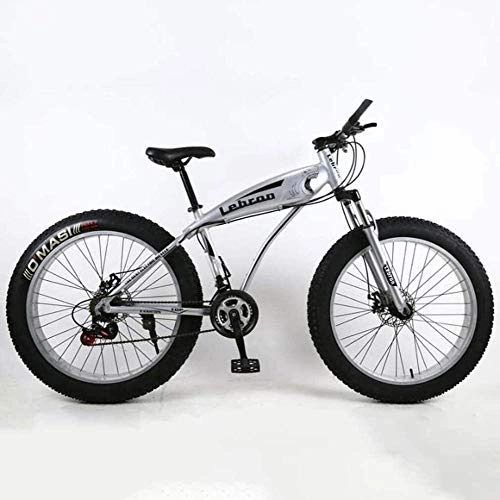 Fat Tyre Bike : Painting Fat Tire Mountain Bike, Lightweight High-Carbon Steel Frame Cruiser Bikes Beach Snowmobile Bicycle Double Disc Brake 26 Inch Wheels BXM bike (Color : Silver, Size : 27 speed)