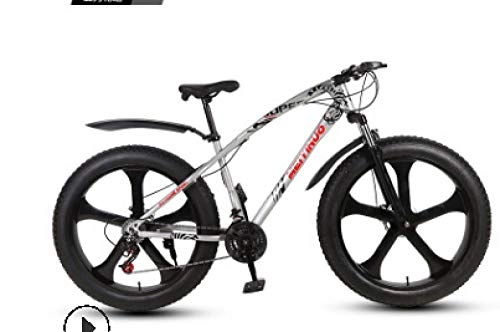 Fat Tyre Bike : peipei 26 inch double disc brake wide tire variable speed adult mountain bike fat bike-11_27