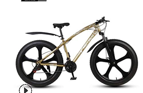 Fat Tyre Bike : peipei 26 inch double disc brake wide tire variable speed adult mountain bike fat bike-15_twenty one
