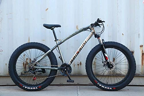 Fat Tyre Bike : peipei 26 Inch Wheel Adult Mountain Fat Bike 24 / 27 / 30 Speed Road Bicycle Men Front And Rear Mechanical Disc Brakes Steel Frame Ride-Gray_26 inch (160-195cm)_24 Speed
