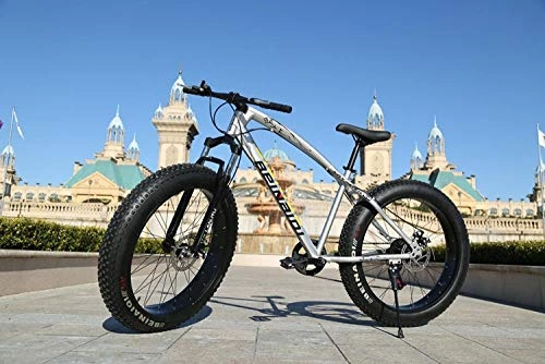 Fat Tyre Bike : peipei 26 Inch Wheel Adult Mountain Fat Bike 24 / 27 / 30 Speed Road Bicycle Men Front And Rear Mechanical Disc Brakes Steel Frame Ride-Silver_26 inch (160-195cm)_24 Speed