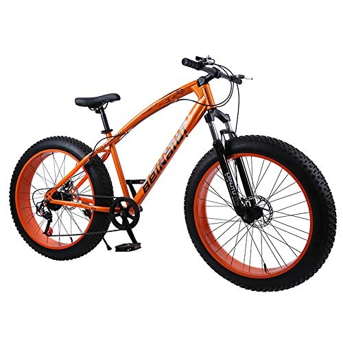 Fat Tyre Bike : QJ Mountain Bike Bicycle Male And Female Students Road Speed Double Shock Disc Brakes Adult Bicycle, 27Speed, 20in