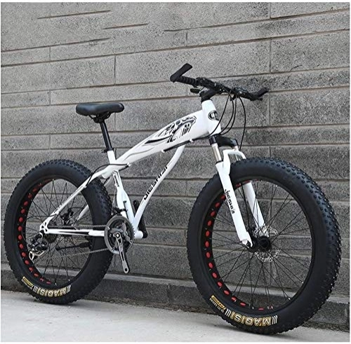 Fat Tyre Bike : QXX Adult Mountain Bikes, Boys Girls Fat Tire Mountain Trail Bike, Dual Disc Brake Hardtail Mountain Bike, High-carbon Steel Frame, Bicycle (Color : White C, Size : 26 Inch 27 Speed)
