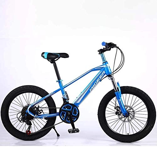 Fat Tyre Bike : QZ Child Fat Tire Mountain Bike, Beach Snow Bike, Juvenile Student City Road Racing Bike, Lightweight High-Carbon Steel Frame Bicycle 20 Inch Wheels 21 speed (Color : Blue)