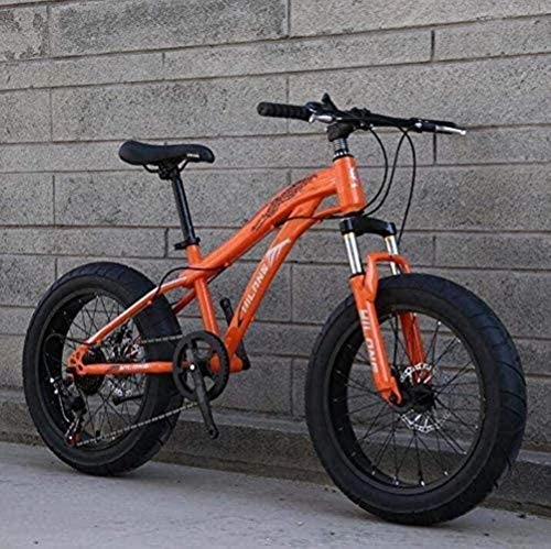 Fat Tyre Bike : QZ Fat Tire Bike Bicycle, Mountain Bike For Adults And Teenagers With Disc Brakes And Spring Suspension Fork, High Carbon Steel Frame (Color : B, Size : 20inch 24 speed)