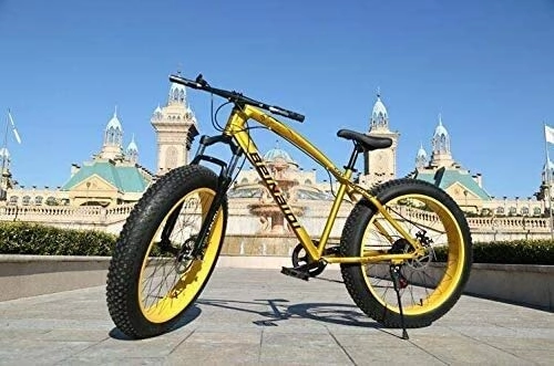 Fat Tyre Bike : QZ Hardtail Mountain Bikes, Dual Disc Brake Fat Tire Cruiser Bike, High-Carbon Steel Frame, Adjustable Seat Bicycle 26 inch 21 speed (Color : Gold, Size : 26 inch 21 speed)