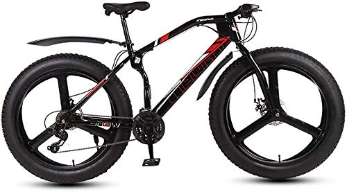 Fat Tyre Bike : QZ Mens Adult Fat Tire Mountain Bike, Bionic Front Fork Beach Snow Bikes, Double Disc Brake Cruiser Bicycle, 26 Inch Wheels (Color : B, Size : 27 speed)