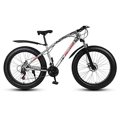 Fat Tyre Bike : Road Bikes Bicycle MTB Adult Beach Bike Snowmobile Bicycles Mountain Bikes For Men And Women 26IN Wheels Double Disc Brake Off-road Bike (Color : Gray, Size : 21 speed)