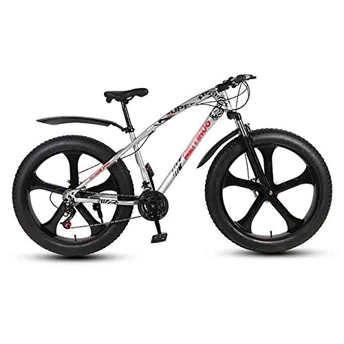 Fat Tyre Bike : Road Bikes Bicycle MTB Adult Mountain Bikes Beach Bike Snowmobile Bicycles Big Tire For Men And Women 26IN Wheels Double Disc Brake Off-road Bike (Color : Gray, Size : 27 speed)