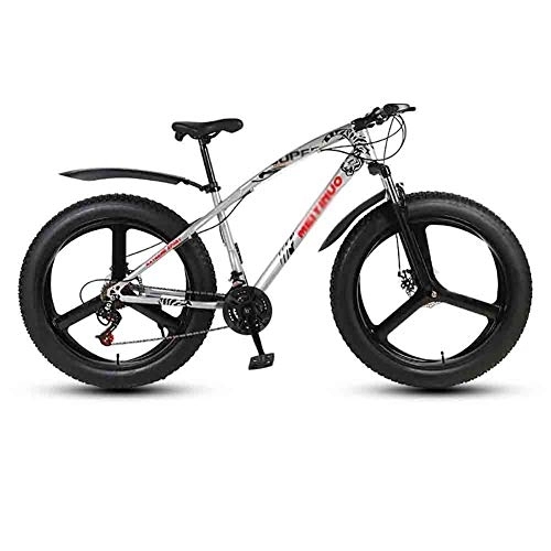 Fat Tyre Bike : Road Bikes Bicycle MTB Adult Mountain Bikes Beach Bike Snowmobile Bicycles For Men And Women 26IN Wheels Double Disc Brake Off-road Bike (Color : Gray, Size : 24 speed)