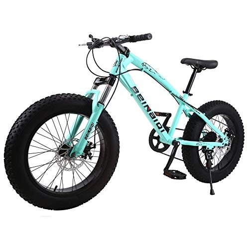 Fat Tyre Bike : TRGCJGH Mountain Bike, Fat Bicycles - 26 Inch, Dual Disc Brakes, Wide Tires, Adjustable Seats, A-21Speed
