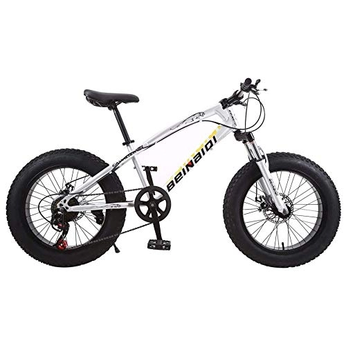 Fat Tyre Bike : TRGCJGH Mountain Bike, Fat Bicycles - 26 Inch, Dual Disc Brakes, Wide Tires, Adjustable Seats, B-21Speed