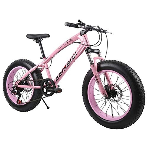 Fat Tyre Bike : TRGCJGH Mountain Bike, Fat Bicycles - 26 Inch, Dual Disc Brakes, Wide Tires, Adjustable Seats, C-24Speed