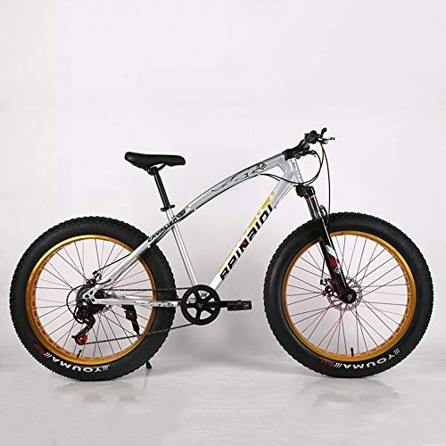 Fat Tyre Bike : VANYA Adult Mountain Bike 26 Inch 21 Speed Disc Brake Snowmobile Damping 4.0 Thick Wide Tire Off-Road Beach Bicycle, Silver