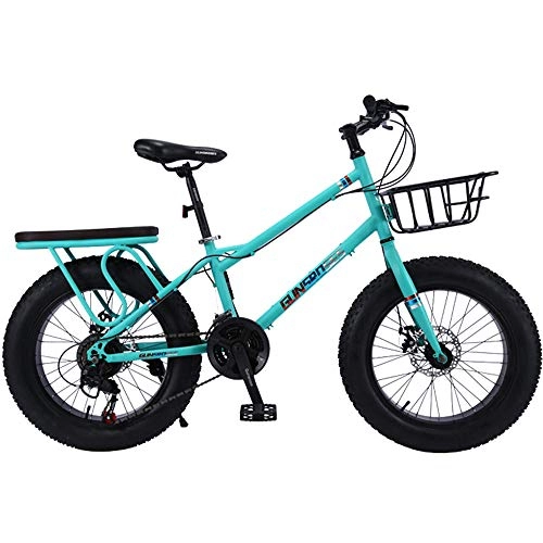Fat Tyre Bike : VANYA Fat Tire Mountain Bike 20 Inch 27 Speed Snowmobile 4.0 Big Tire Variable Speed Shock Absorber ATV Child Youth Adult, Blue