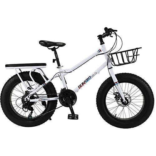 Fat Tyre Bike : VANYA Fat Tire Mountain Bike 20 Inch 27 Speed Snowmobile 4.0 Big Tire Variable Speed Shock Absorber ATV Child Youth Adult, White