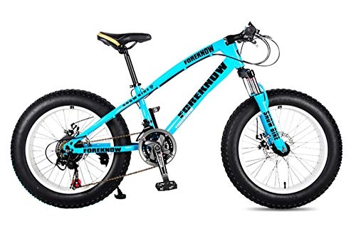 Fat Tyre Bike : WANG-L 20 / 24 / 26 Inch Mountain Bikes Double Disc Brake Variable Speed 4.0 Fat Tire Snowfield Beach MTB Bicycle, Blue-26inch / 7speed
