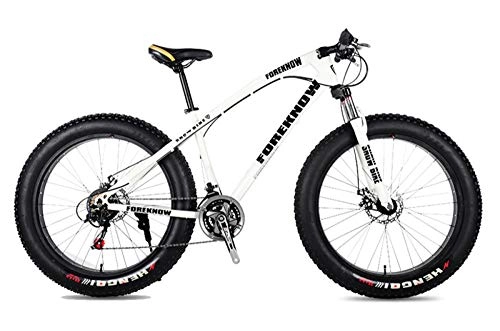 Fat Tyre Bike : WANG-L 20 / 24 / 26 Inch Mountain Bikes Double Disc Brake Variable Speed 4.0 Fat Tire Snowfield Beach MTB Bicycle, White-20inch / 21speed