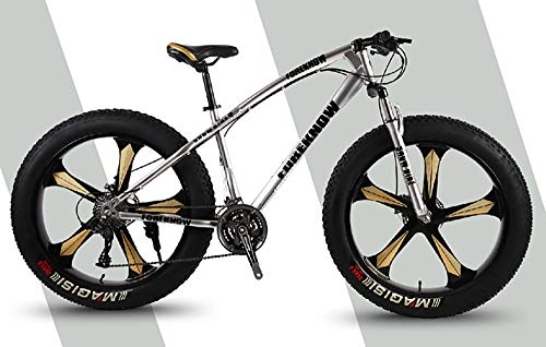 Fat Tyre Bike : WANG-L 26 Inch Mountain Bikes For Men Women 4.0 Fat Tire Double Disc Brake Variable Speed Snowfield Beach MTB Bicycle, Silver-26inch / 21speed
