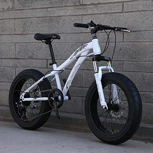 Fat Tyre Bike : WJSW Fat Tire Bike Bicycle, Mountain Bike for Adults And Teenagers with Disc Brakes And Spring Suspension Fork, High Carbon Steel Frame