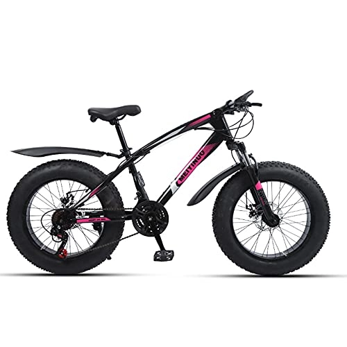 Fat Tyre Bike : WLWLEO Mountain Bike 20 inch Fat Tire Beach Snow Bike, Carbon Steel Frame, Dual Disc Brakes, Suspension Fork, 21 / 24 / 27 Speed, Outdoor Offroad Bicycle for Teens Students Adults, Purple, 24 speed