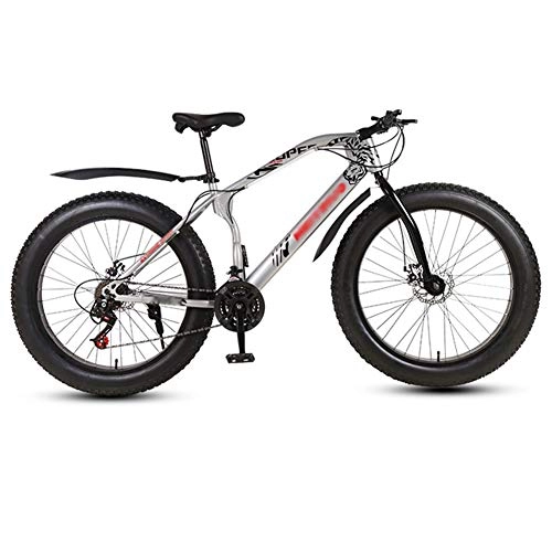 Fat Tyre Bike : WN-PZF 26 inch mountain bike, outdoor sports mountain bike for adult students, snow bike, front and rear disc brakes + widened tires + shock absorber front fork, Silver, 21 speed