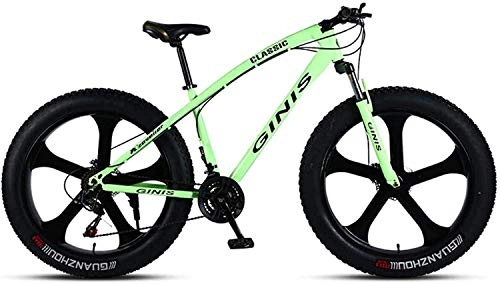 Fat Tyre Bike : WYJBD Fat Tire Mountain Bike Off-road Beach Snow Bike 21 / 24 / 27 / 30 Speed Speed Mountain Bike 4.0 Wide Tire Adult Outdoor Riding (Color : E, Size : 30 Speed)