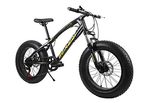 Fat Tyre Bike : XCBY Mountain Bike, Fat Bicycles - 26 Inch, Dual Disc Brakes, Wide Tires, Adjustable Seats Black-21Speed